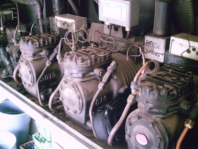 trained techs. make it look easy!